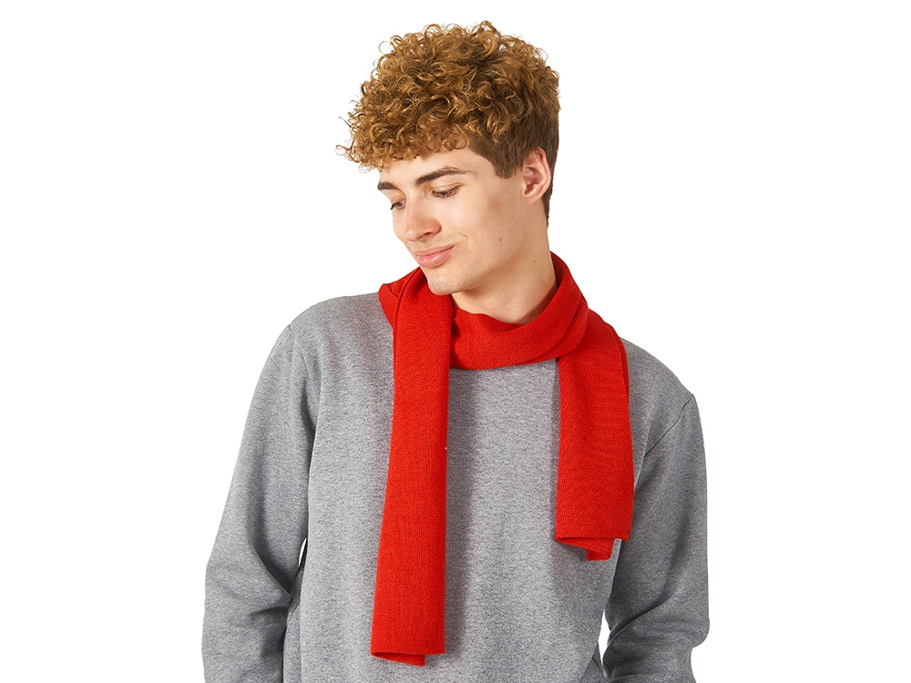 Шарф «Dunant» / 
