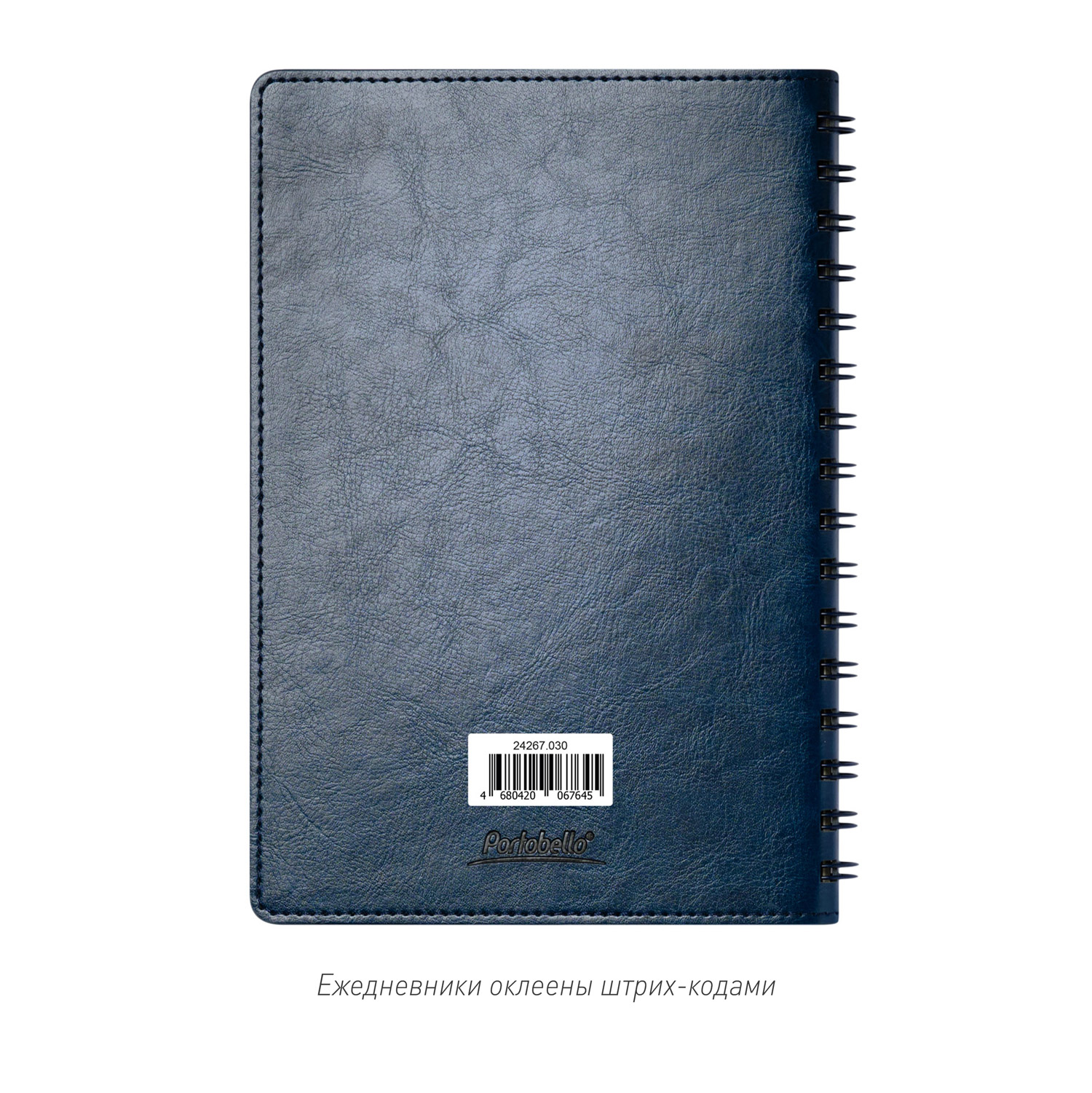 Ежедневник Vista Neo недатированный, синий / 