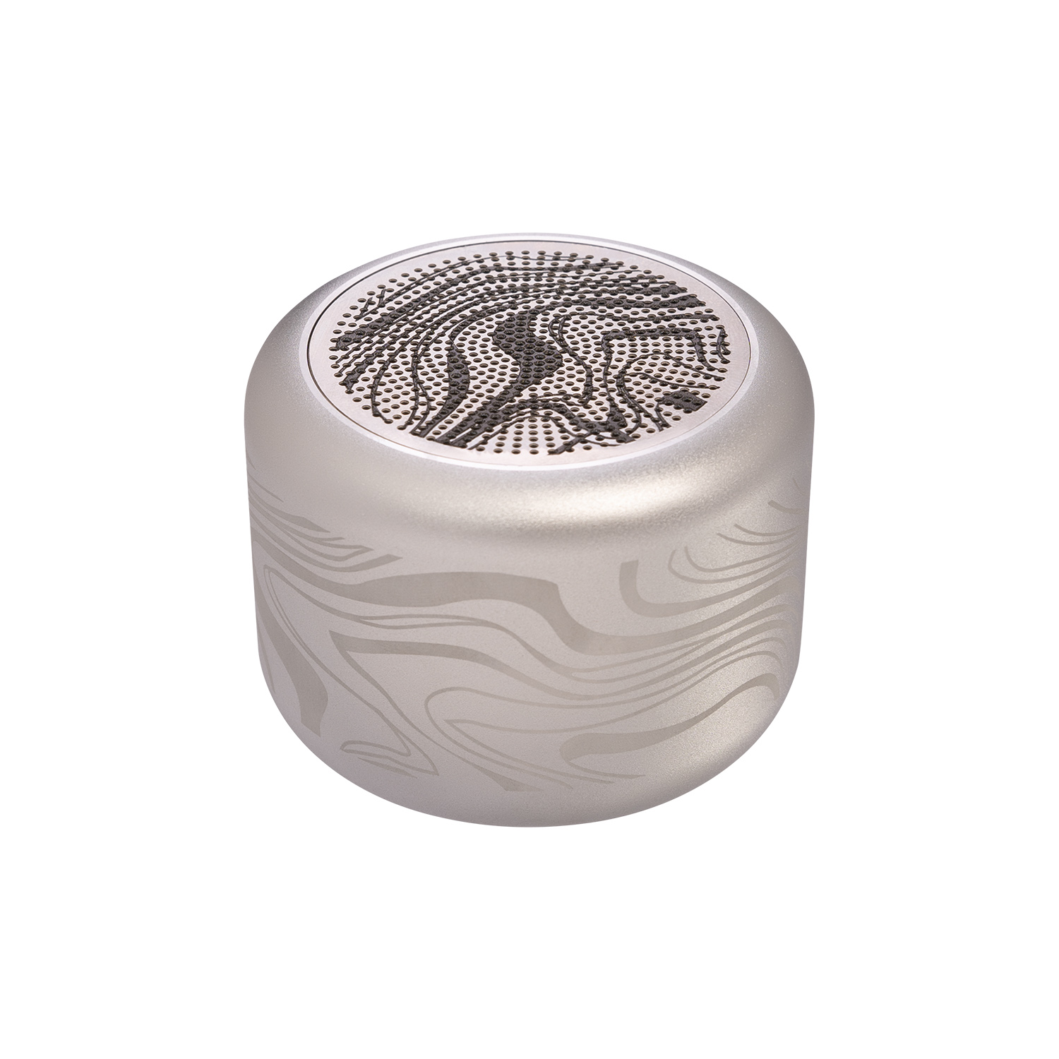 Беспроводная колонка Passion 80dB 600 mAh (Bluetooth 5.4), серебряная / 