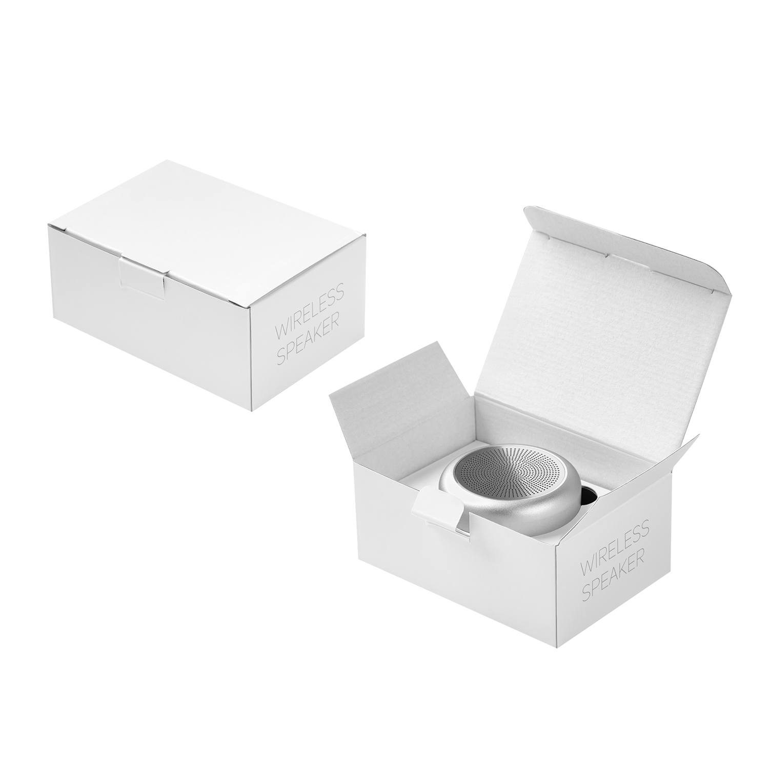 Беспроводная колонка Passion 80dB 600 mAh (Bluetooth 5.4), серебряная / 