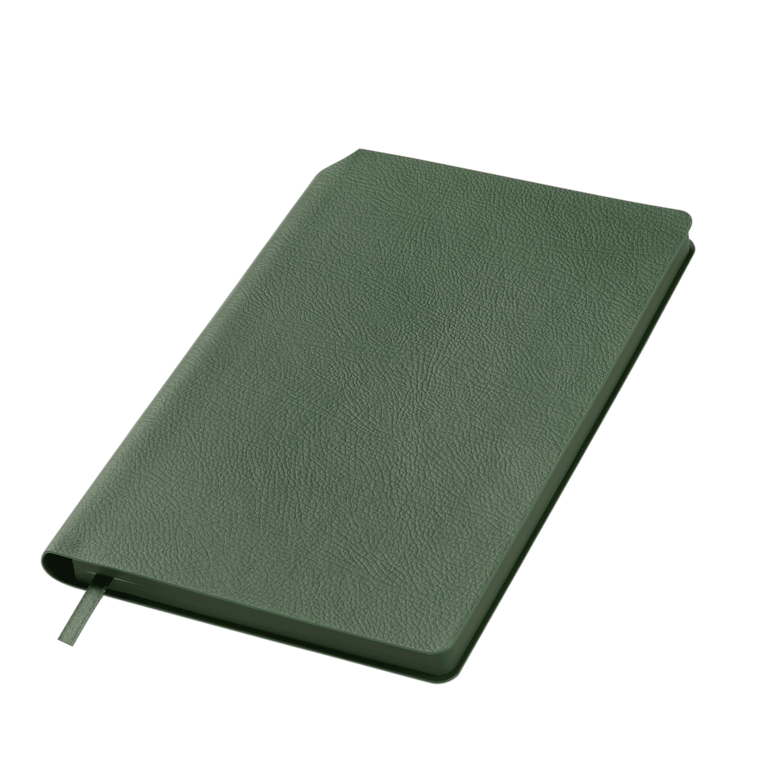 Ежедневник Молто (Molto) недатированный, зеленый (без упаковки, без стикера) / 