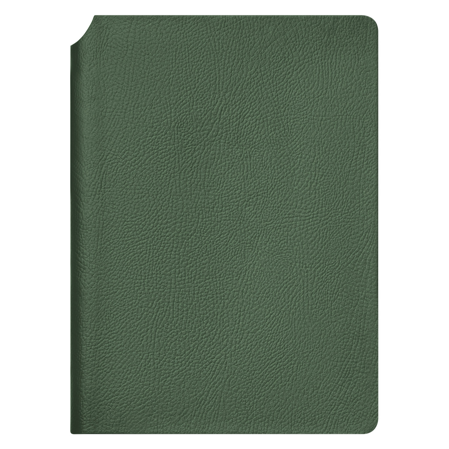 Ежедневник Молто (Molto) недатированный, зеленый (без упаковки, без стикера) / 