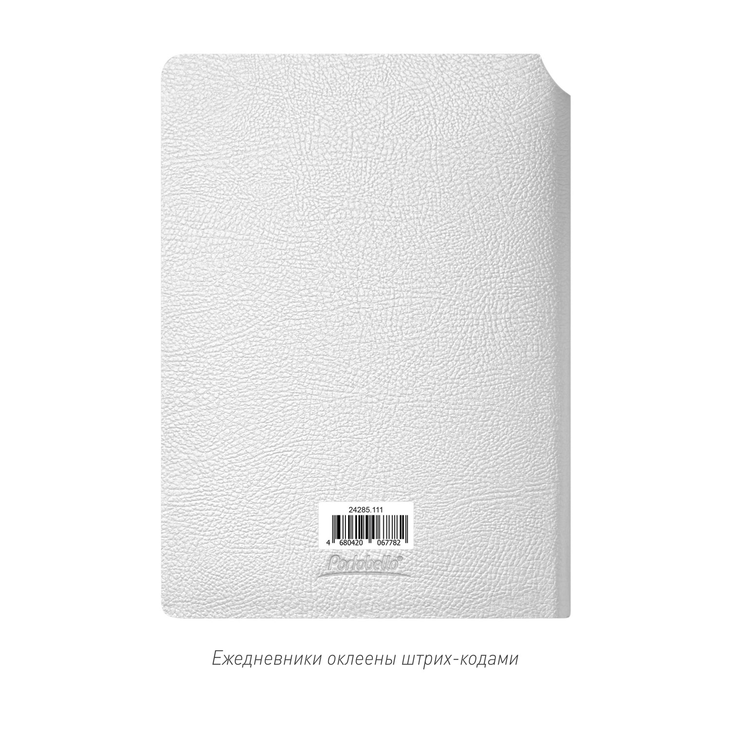 Ежедневник Молто (Molto) недатированный, серебряный (без упаковки, без стикера) / 