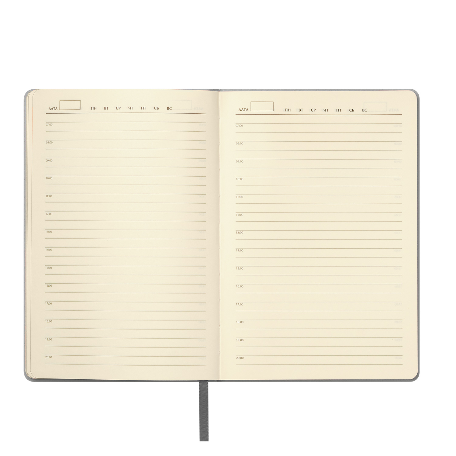 Ежедневник Молто (Molto) недатированный, серебряный (без упаковки, без стикера) / 