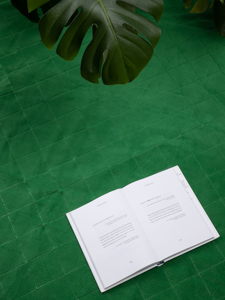 Плед для пикника Soft & Dry 2, зеленый / Миниатюра имиджевого (1000)