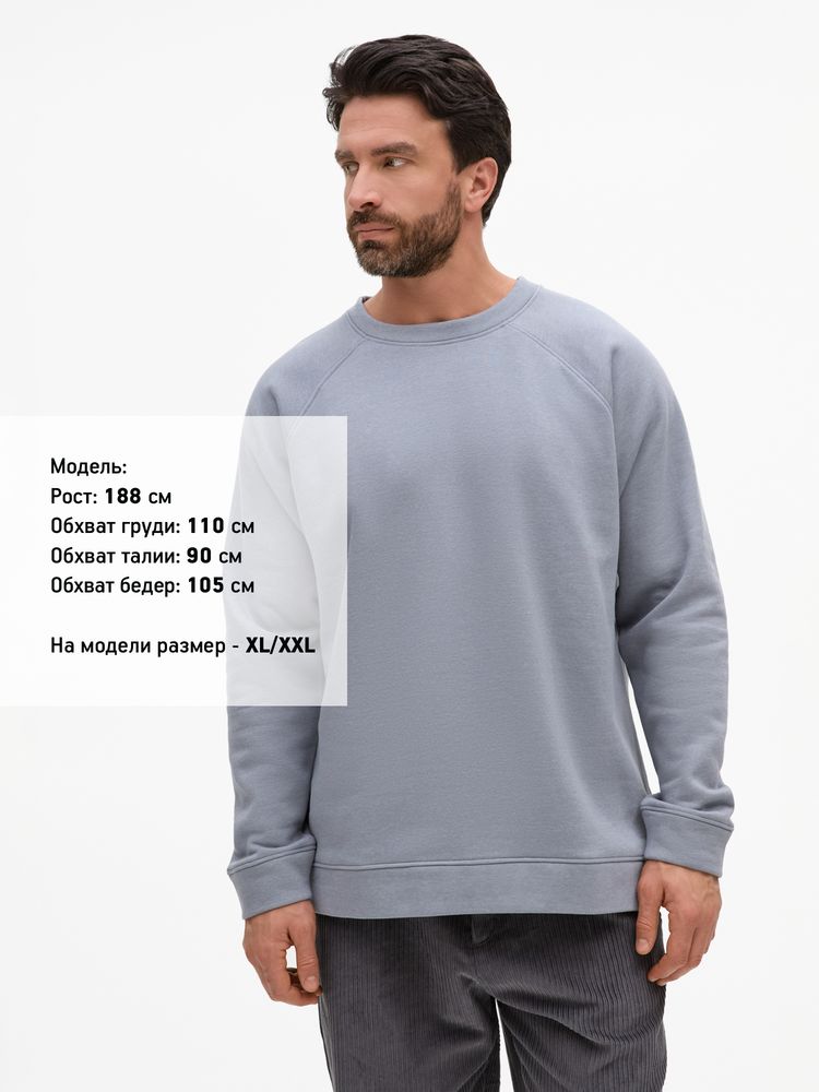 Свитшот унисекс S1, серый / Миниатюра модельного (1000)