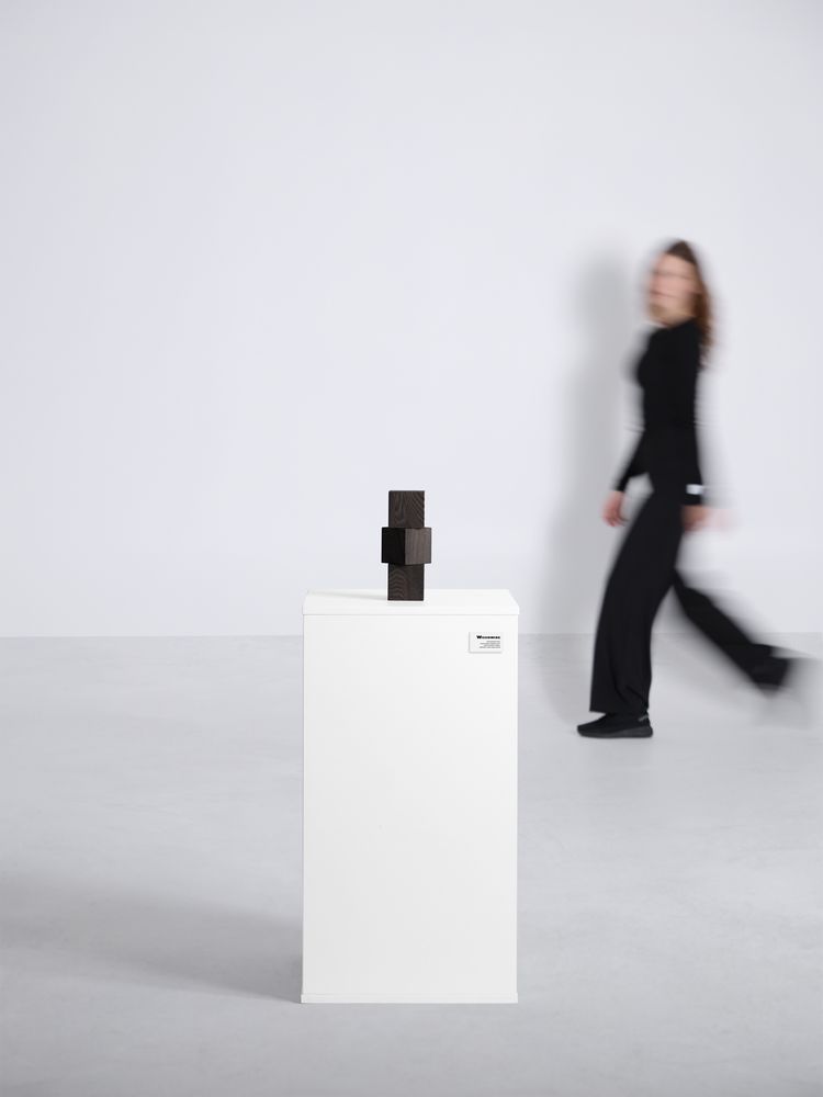 Стела Woodwise / Миниатюра имиджевого (1000)