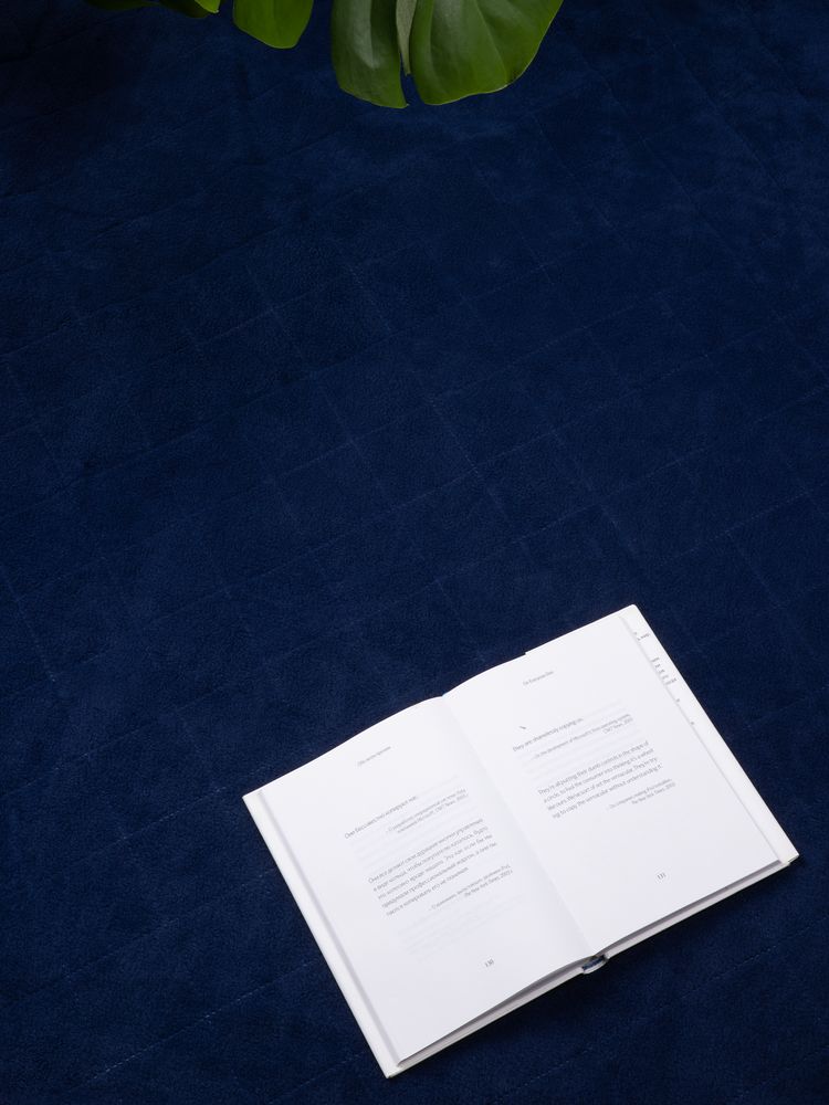 Плед для пикника Soft & Dry 2, синий / Миниатюра имиджевого (1000)