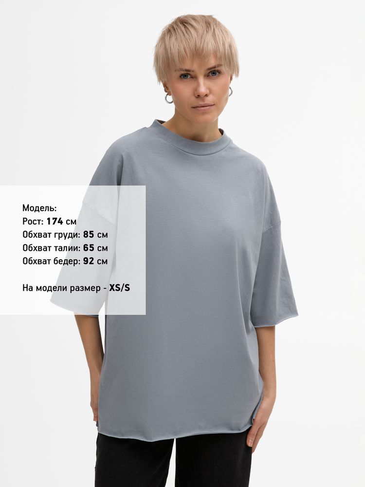 Футболка унисекс T1, серая / Миниатюра модельного (1000)