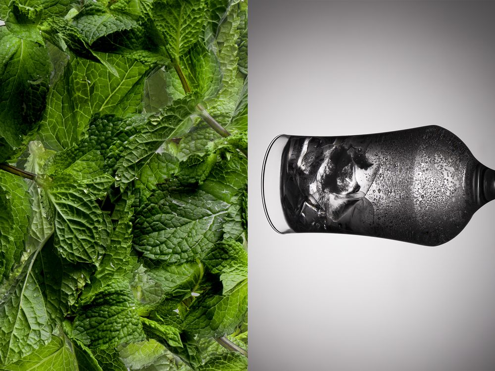 Бокал для пива Tulip / Миниатюра имиджевого (1000)