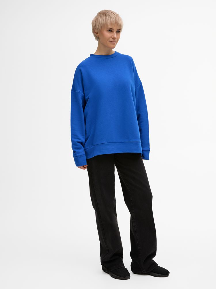 Свитшот унисекс S2, синий / Миниатюра модельного (1000)