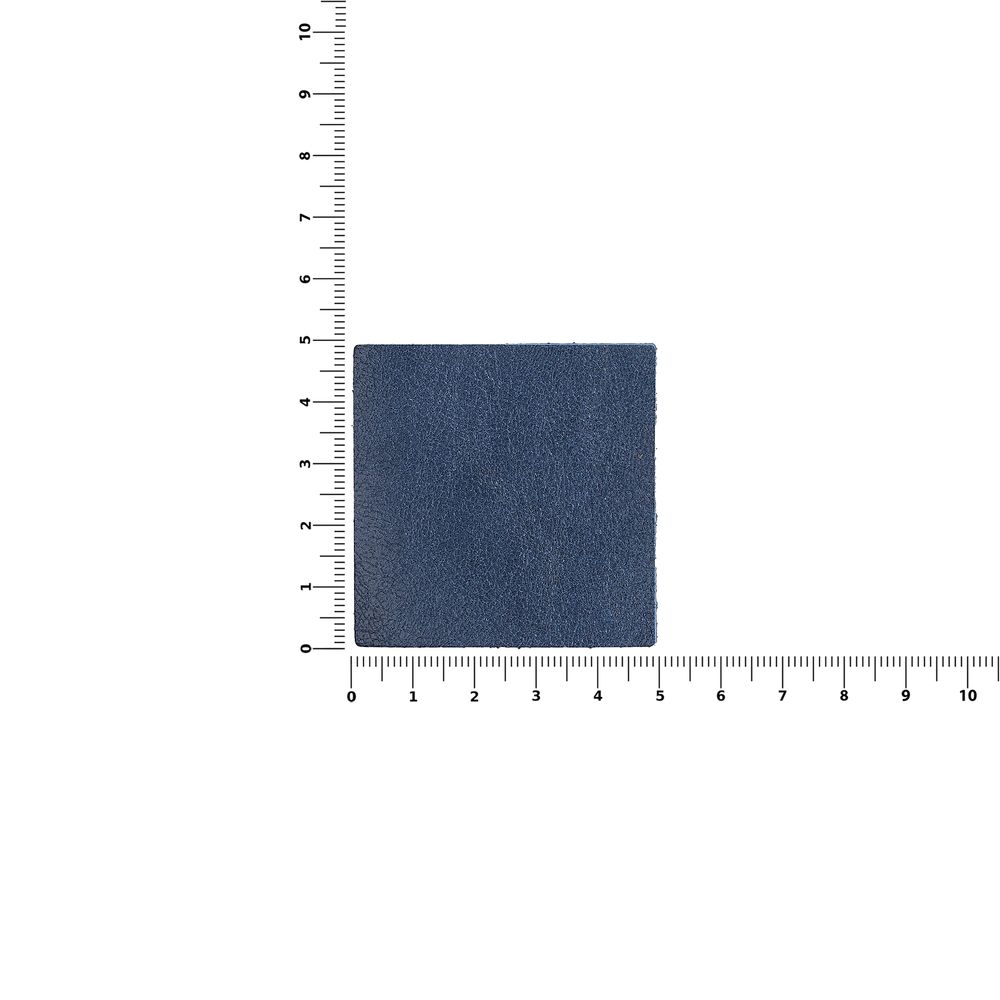 Лейбл кожаный Pasek, L, синий / Миниатюра WWW (1000)