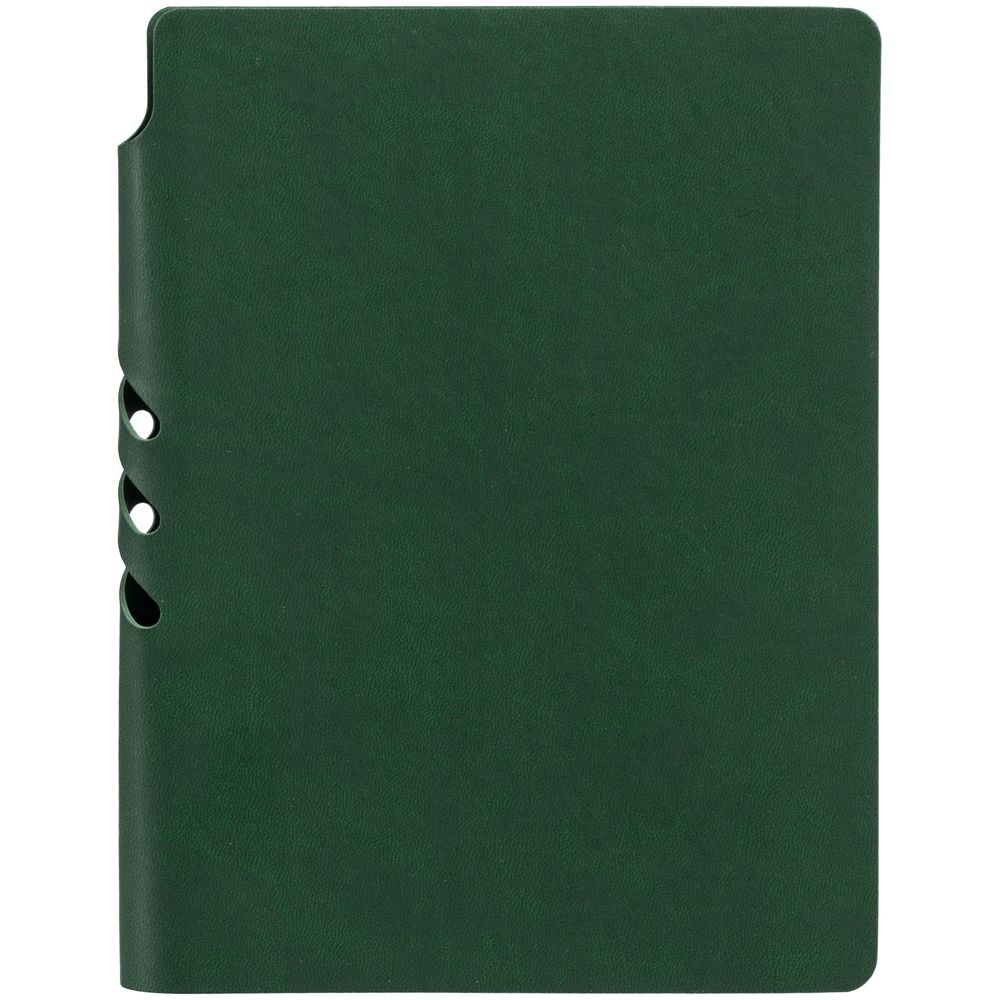 Ежедневник Flexpen Color, датированный, зеленый / Миниатюра WWW (1000)