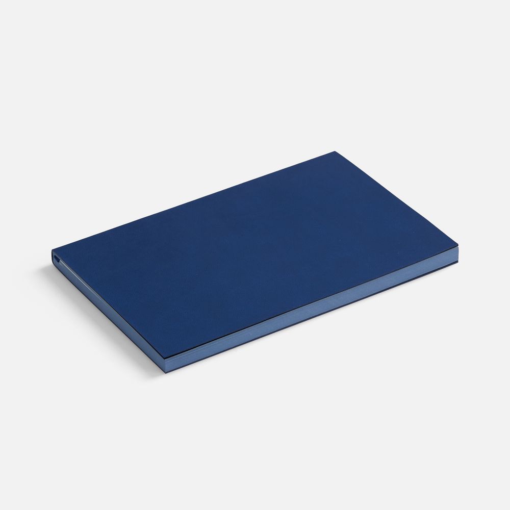 Ежедневник Flat, недатированный, синий, ver.2 / Миниатюра WWW (1000)