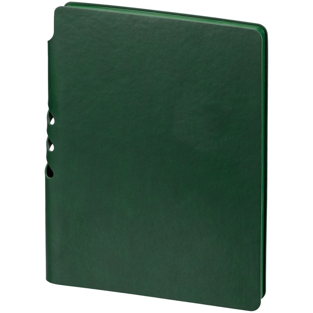 Ежедневник Flexpen Color, датированный, зеленый / Миниатюра WWW (1000)