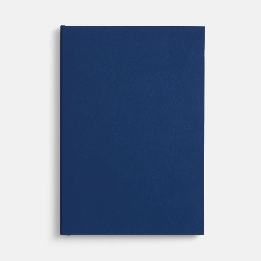 Ежедневник Flat, недатированный, синий, ver.2 / Миниатюра WWW (1000)