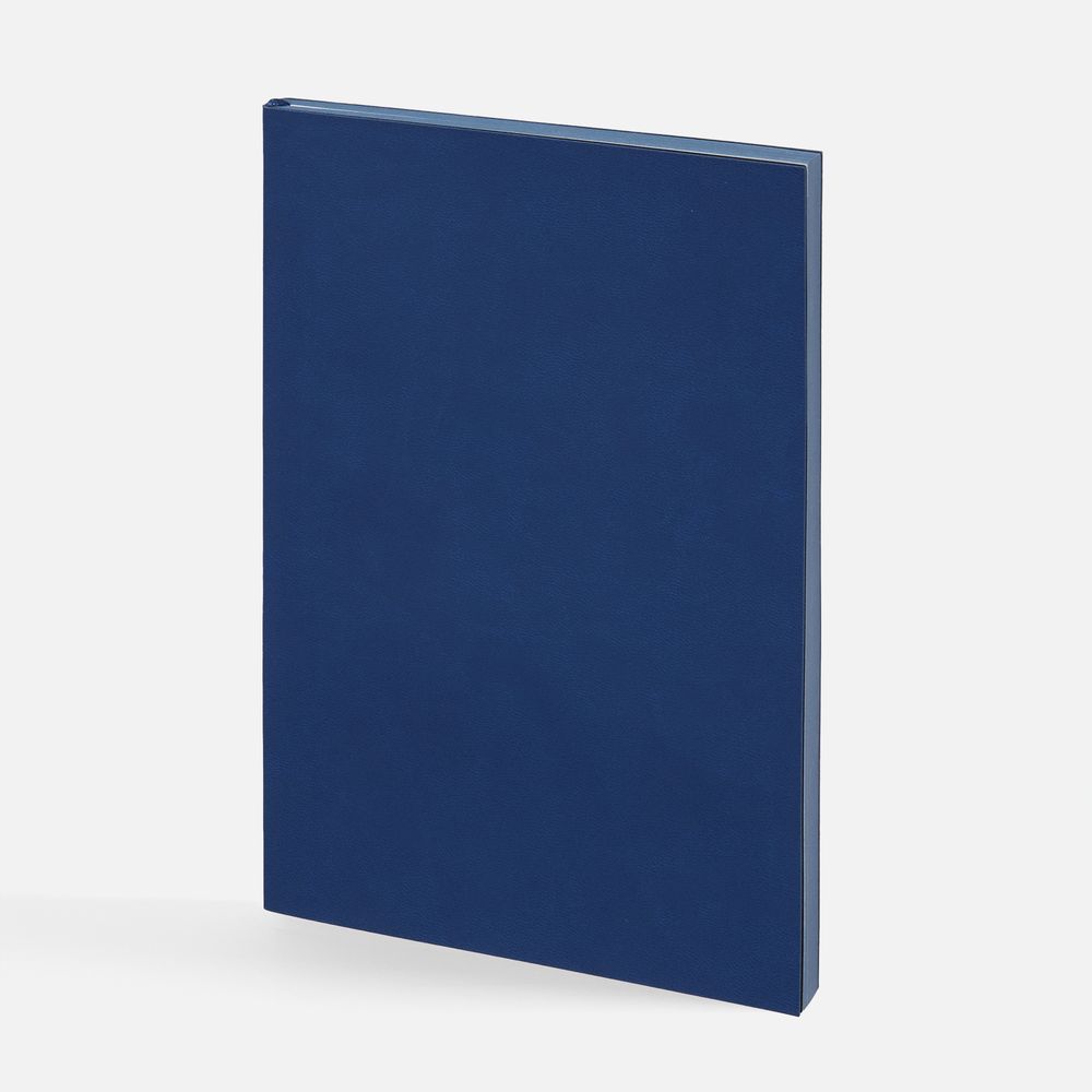 Ежедневник Flat, недатированный, синий, ver.2 / Миниатюра WWW (1000)