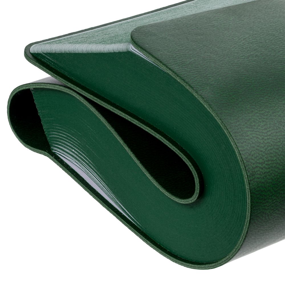 Ежедневник Flexpen Color, датированный, зеленый / Миниатюра WWW (1000)