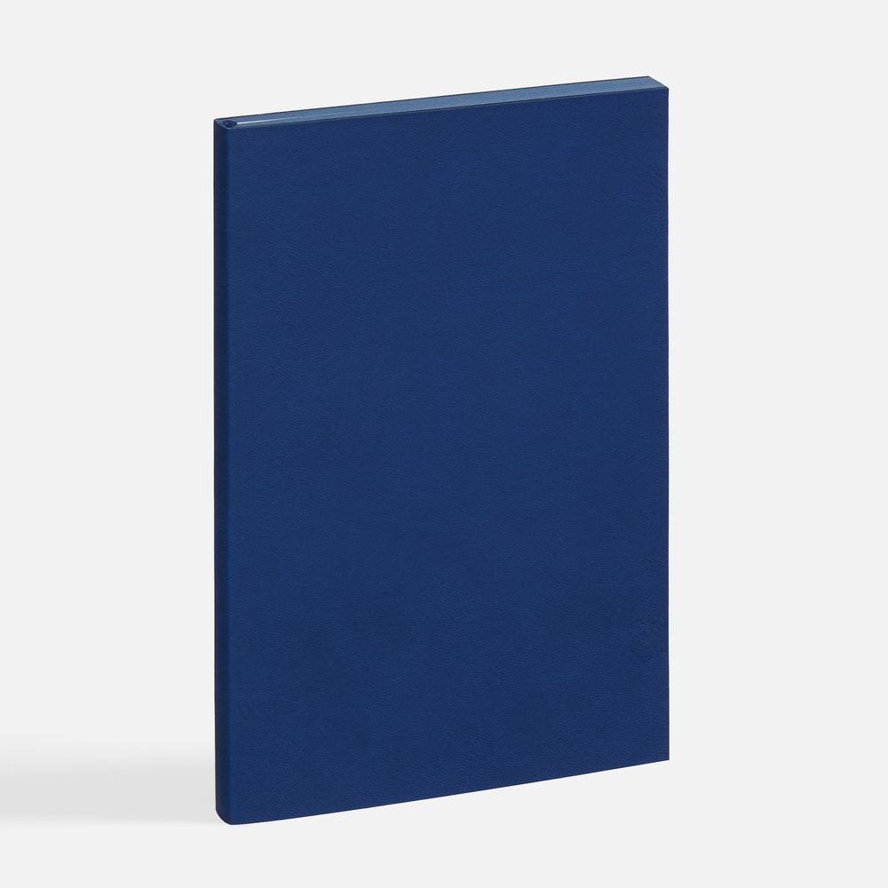 Ежедневник Flat, недатированный, синий, ver.2 / Миниатюра WWW (1000)