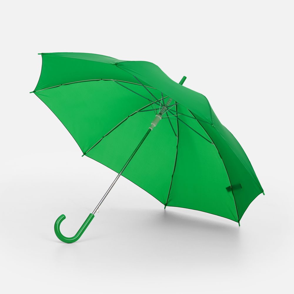 Зонт-трость Promo, зеленый / Миниатюра WWW (1000)