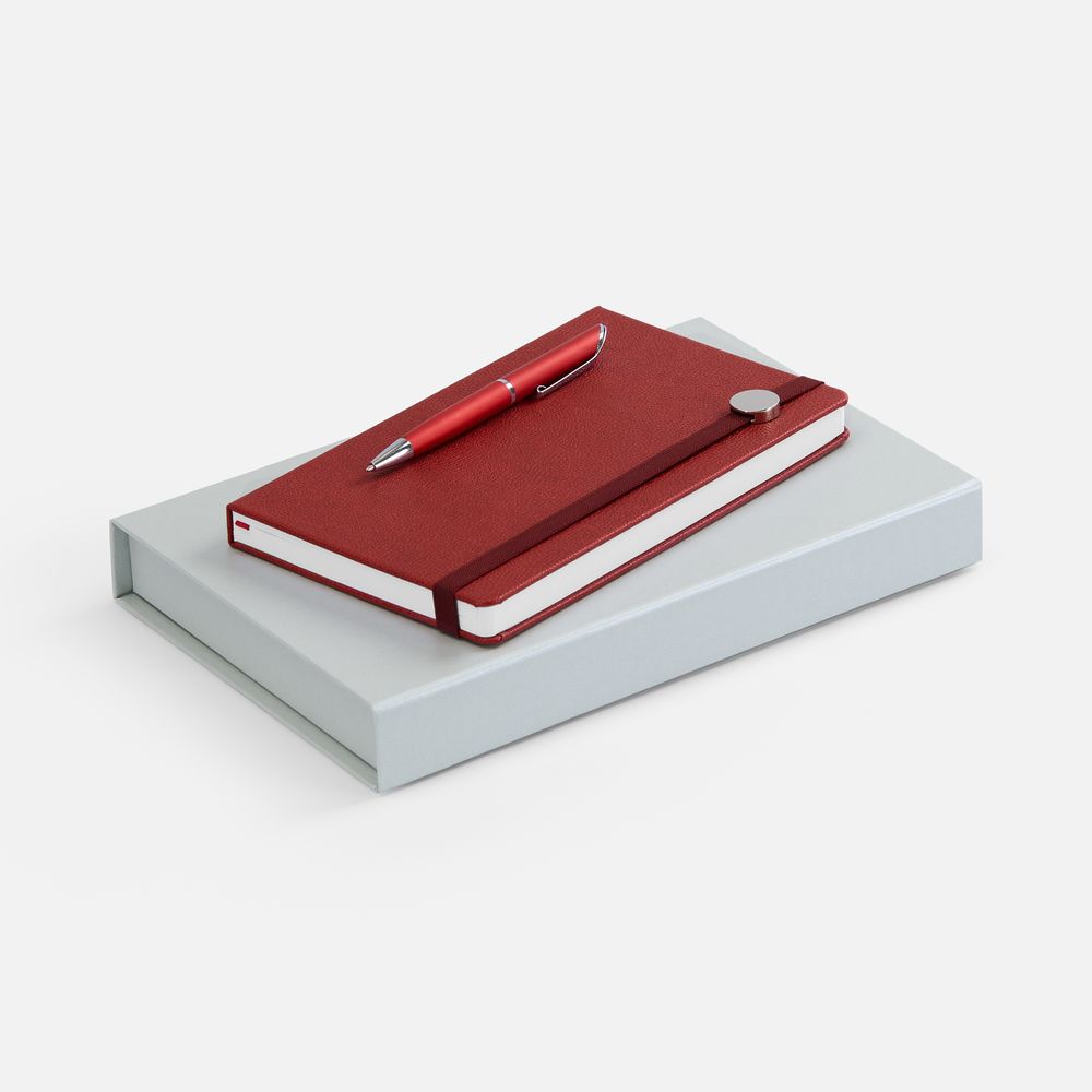 Набор Coach, красный / Миниатюра WWW (1000)