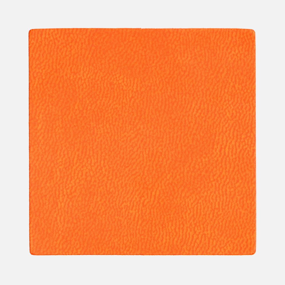 Лейбл Listra Latte, L, оранжевый / Миниатюра WWW (1000)