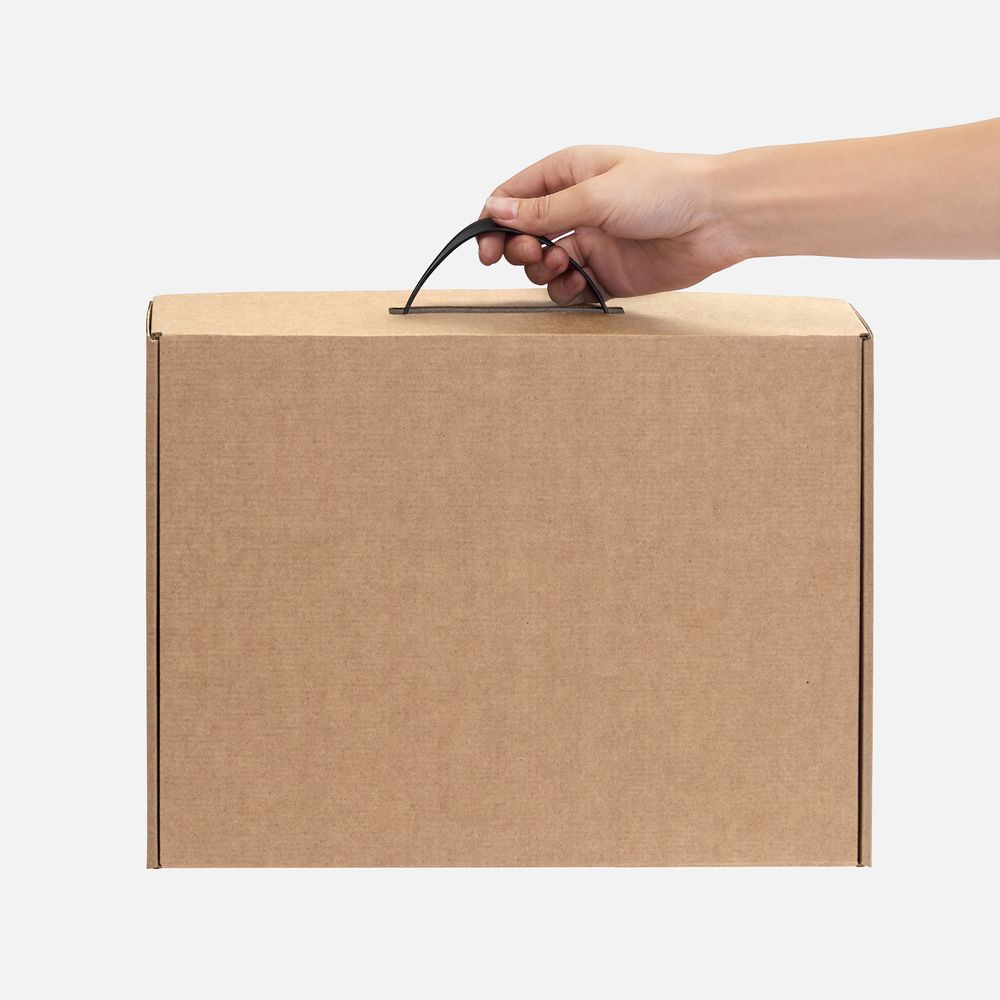 Коробка Light Case, ver.2, бежевая / Миниатюра WWW (1000)