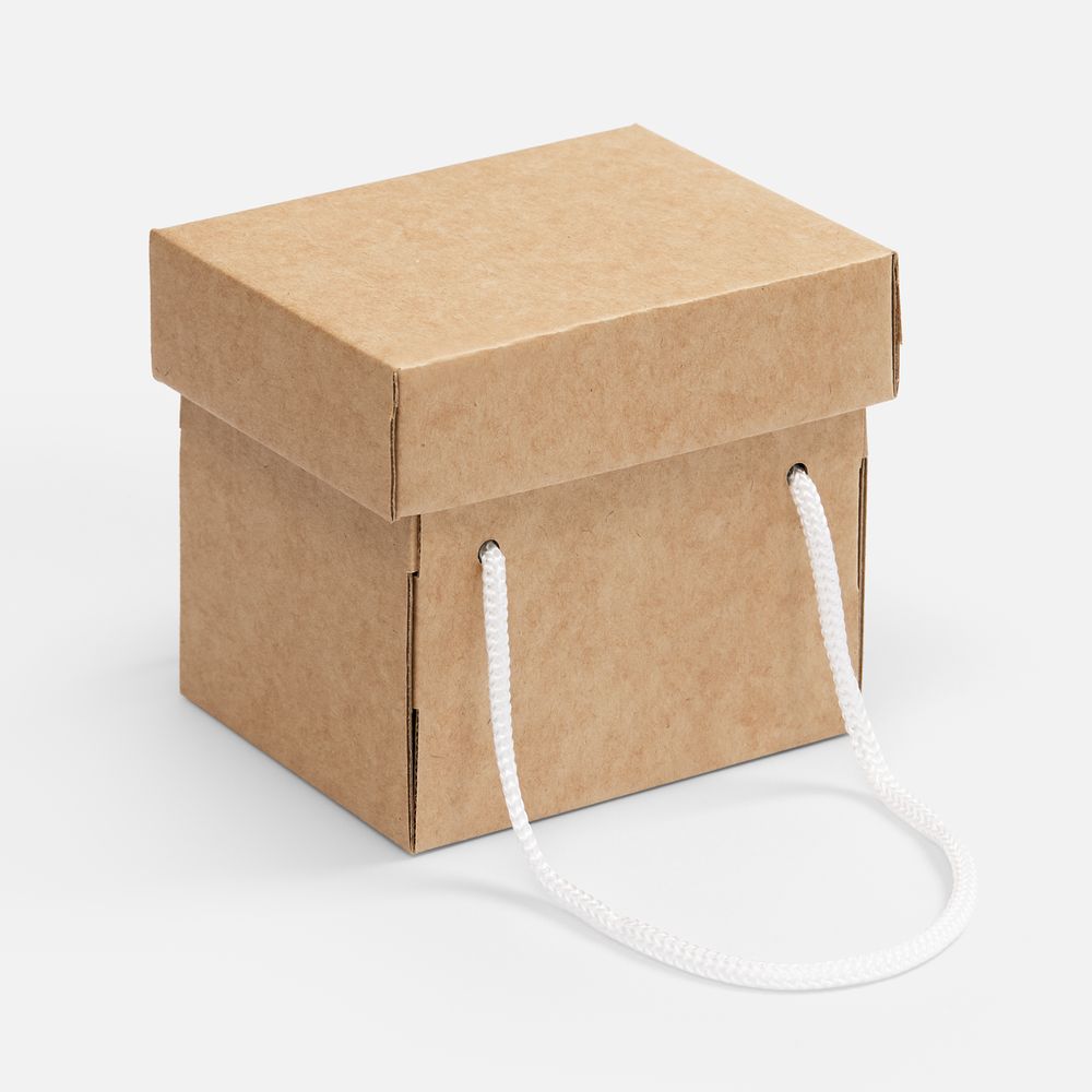 Коробка Kitbag, ver.2, крафт / Миниатюра WWW (1000)