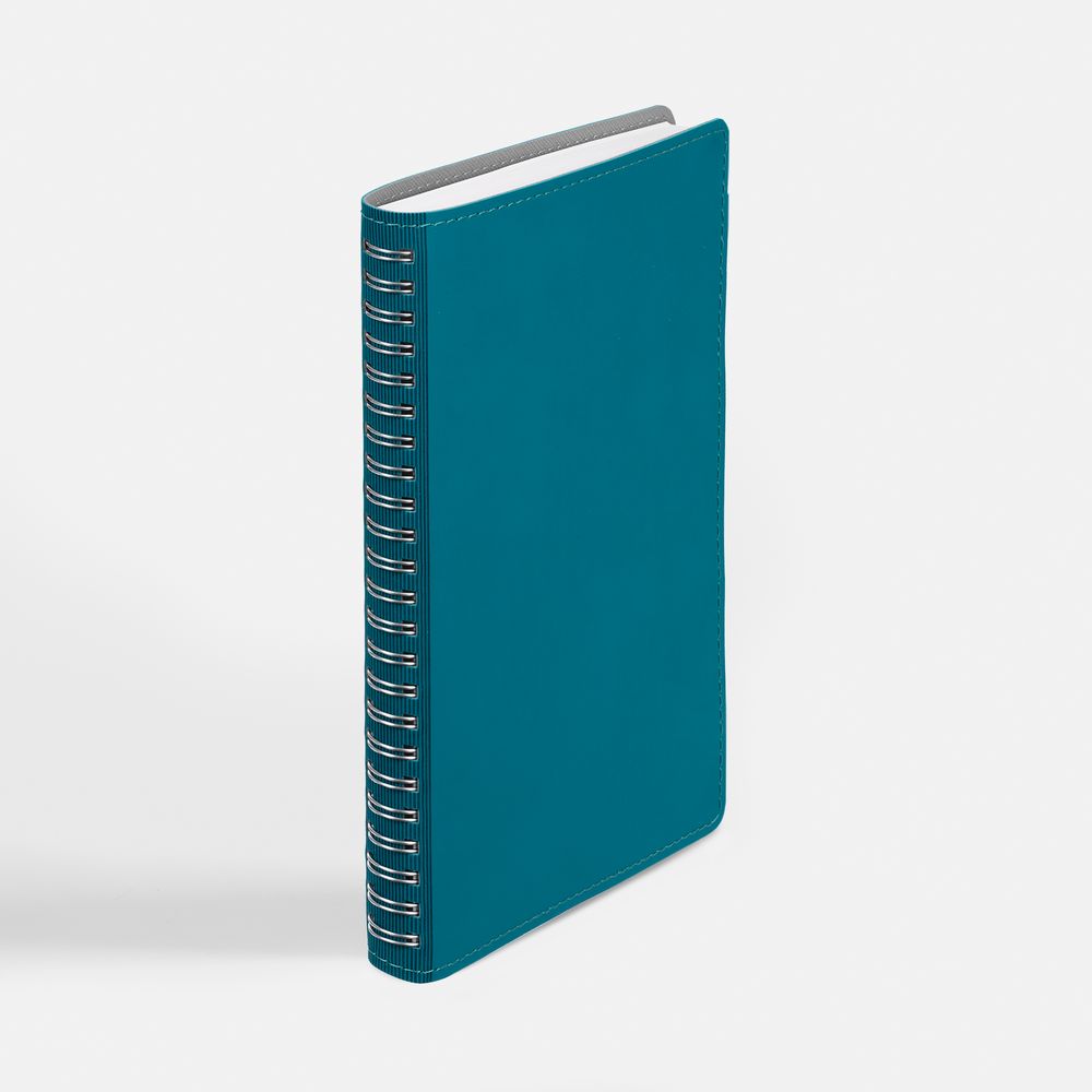 Ежедневник Spring Shall, недатированный, бирюзовый / Миниатюра WWW (1000)