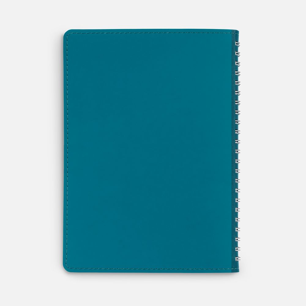 Ежедневник Spring Shall, недатированный, бирюзовый / Миниатюра WWW (1000)