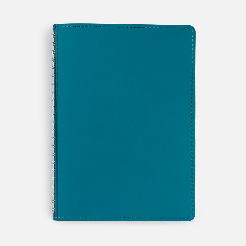 Ежедневник Spring Shall, недатированный, бирюзовый / Миниатюра WWW (1000)