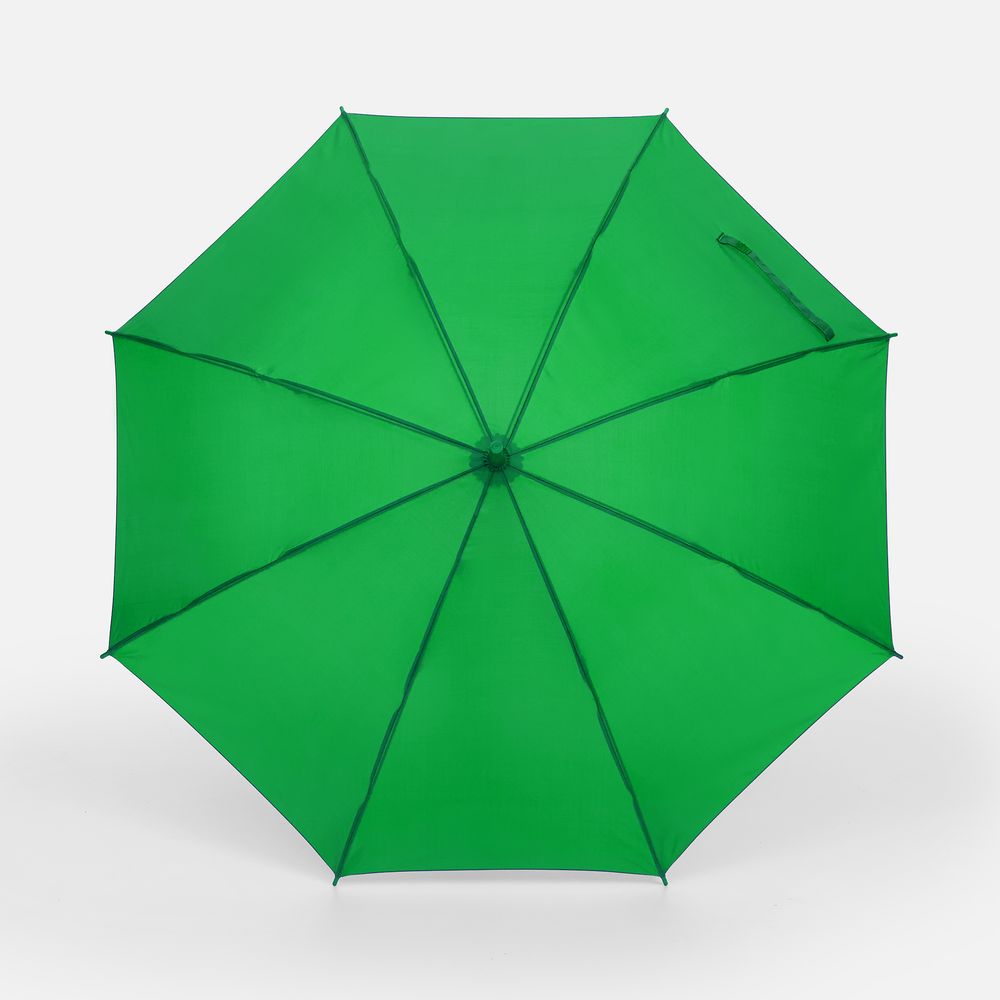 Зонт-трость Promo, зеленый / Миниатюра WWW (1000)