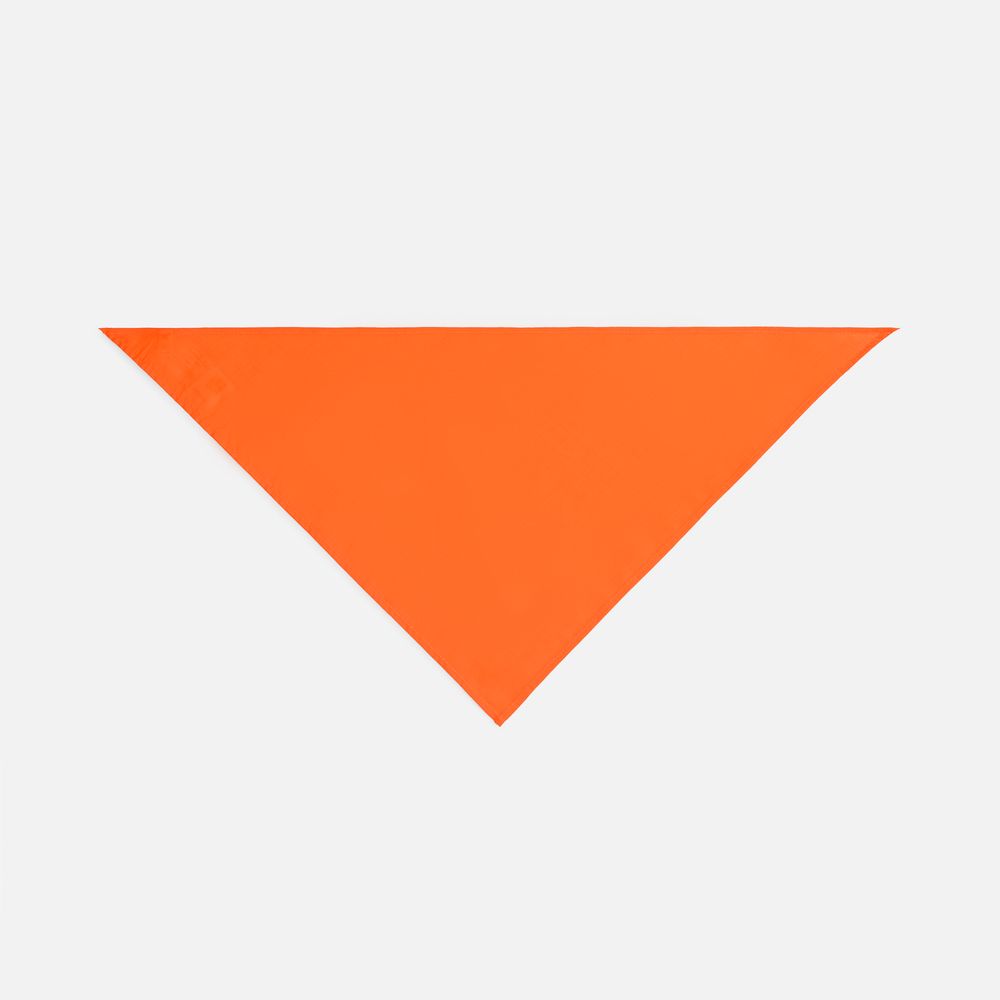 Шейный платок Bandana, оранжевый / Миниатюра WWW (1000)