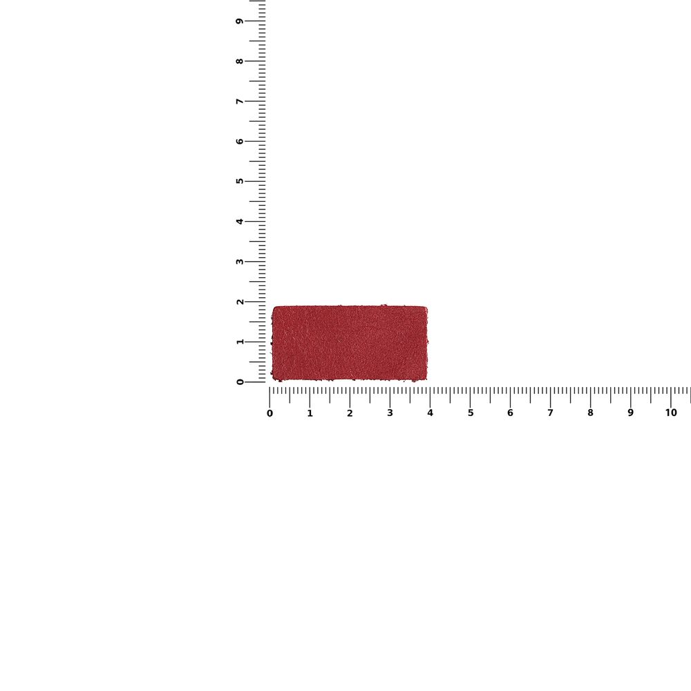 Лейбл кожаный Pasek, XS, красный / Миниатюра WWW (1000)