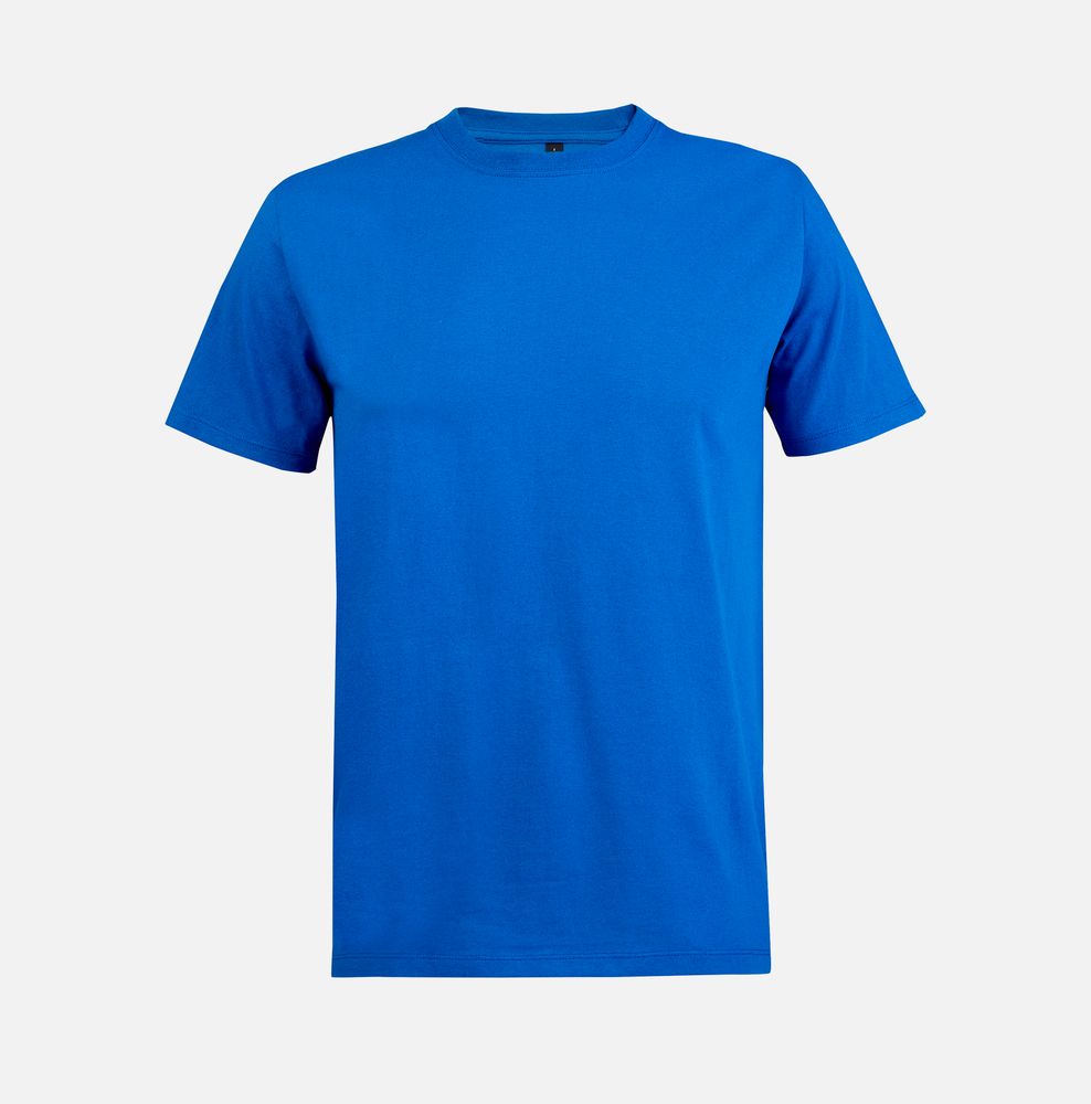 Футболка унисекс Explorer, ярко-синяя (royal) / Миниатюра WWW (1000)