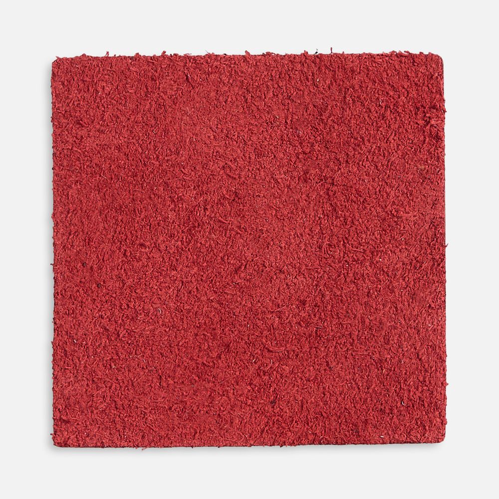 Лейбл кожаный Pasek, L, красный / Миниатюра WWW (1000)