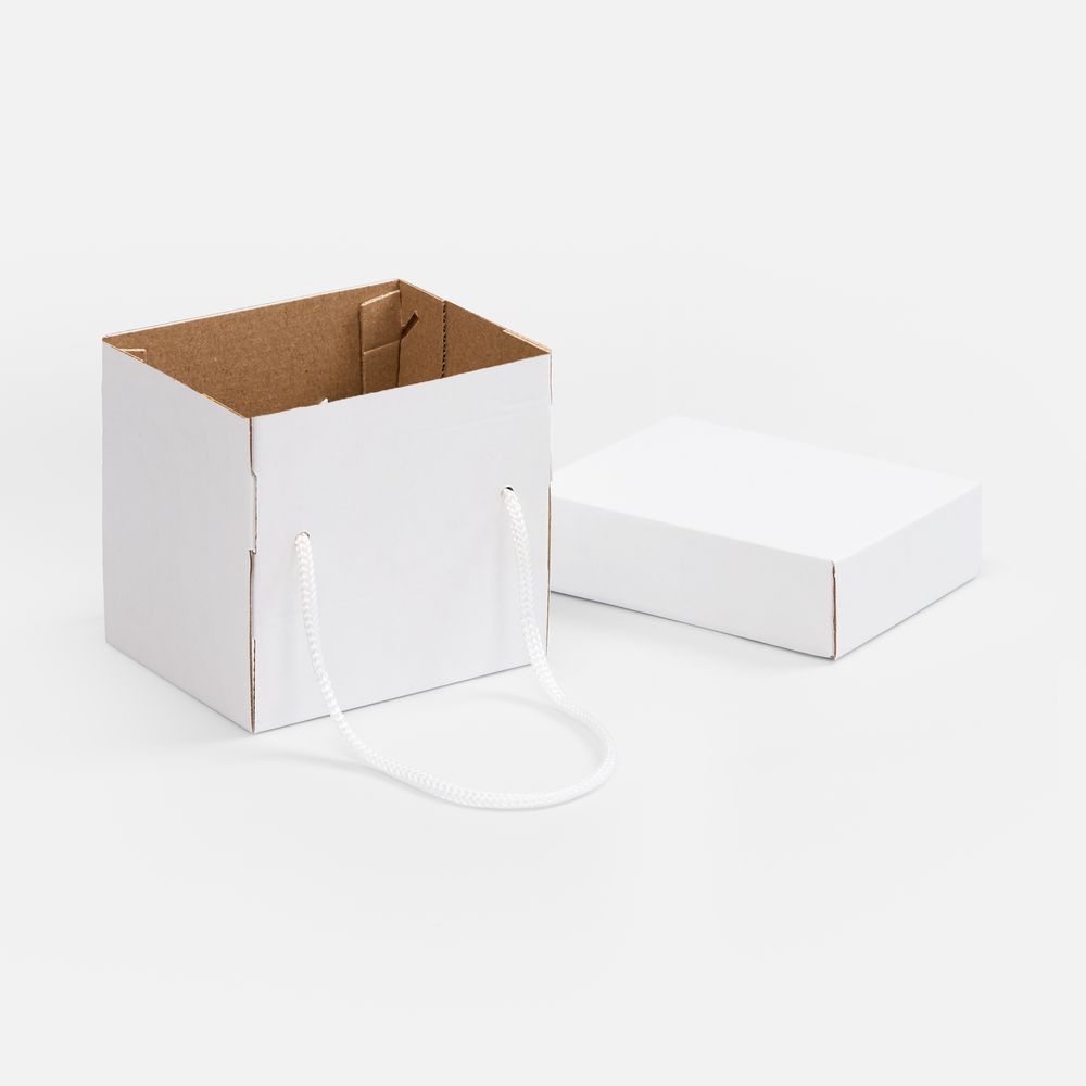 Коробка Kitbag, ver.2, белая / Миниатюра WWW (1000)