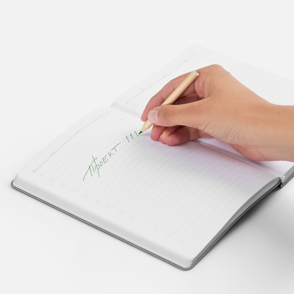 Набор цветных карандашей Pencilvania Mini, белый / Миниатюра WWW (1000)