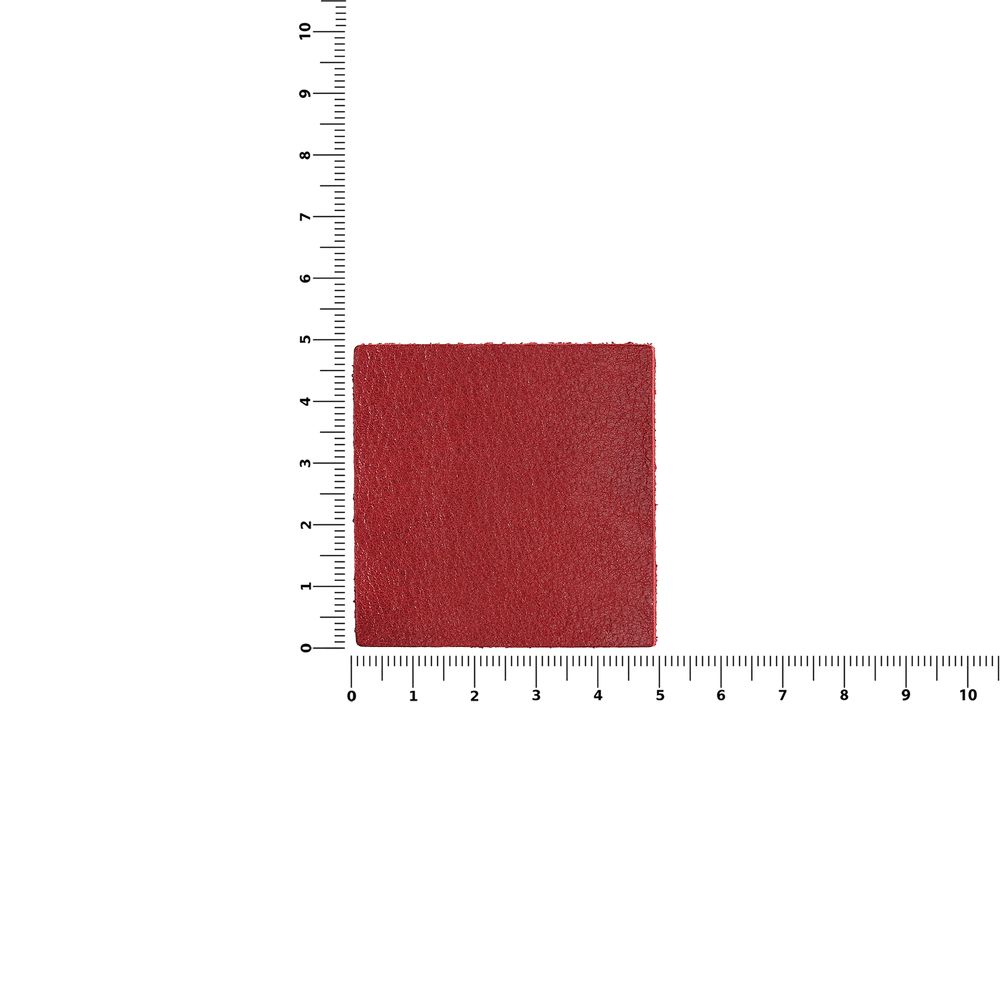 Лейбл кожаный Pasek, L, красный / Миниатюра WWW (1000)