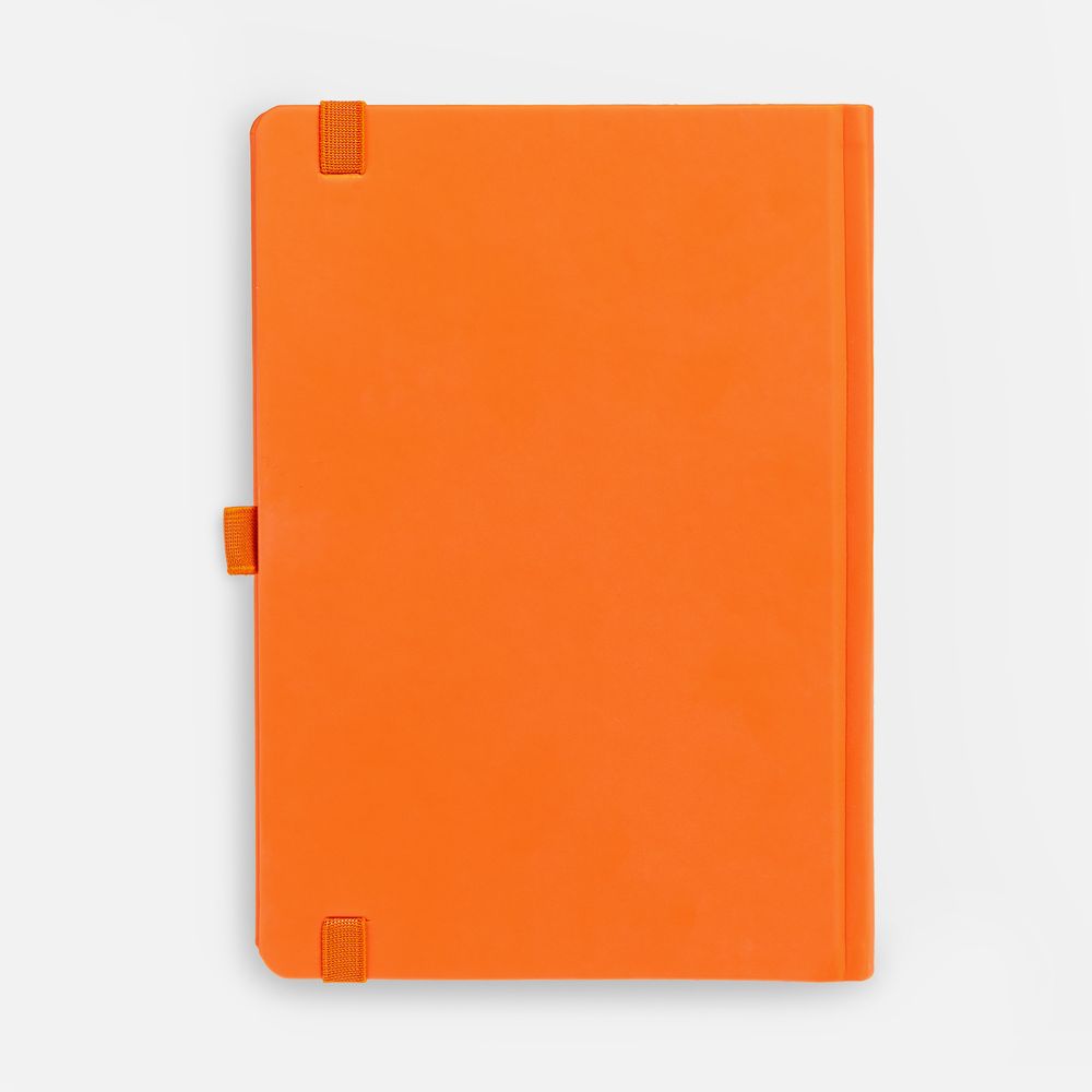 Ежедневник Favor, недатированный, оранжевый / Миниатюра WWW (1000)