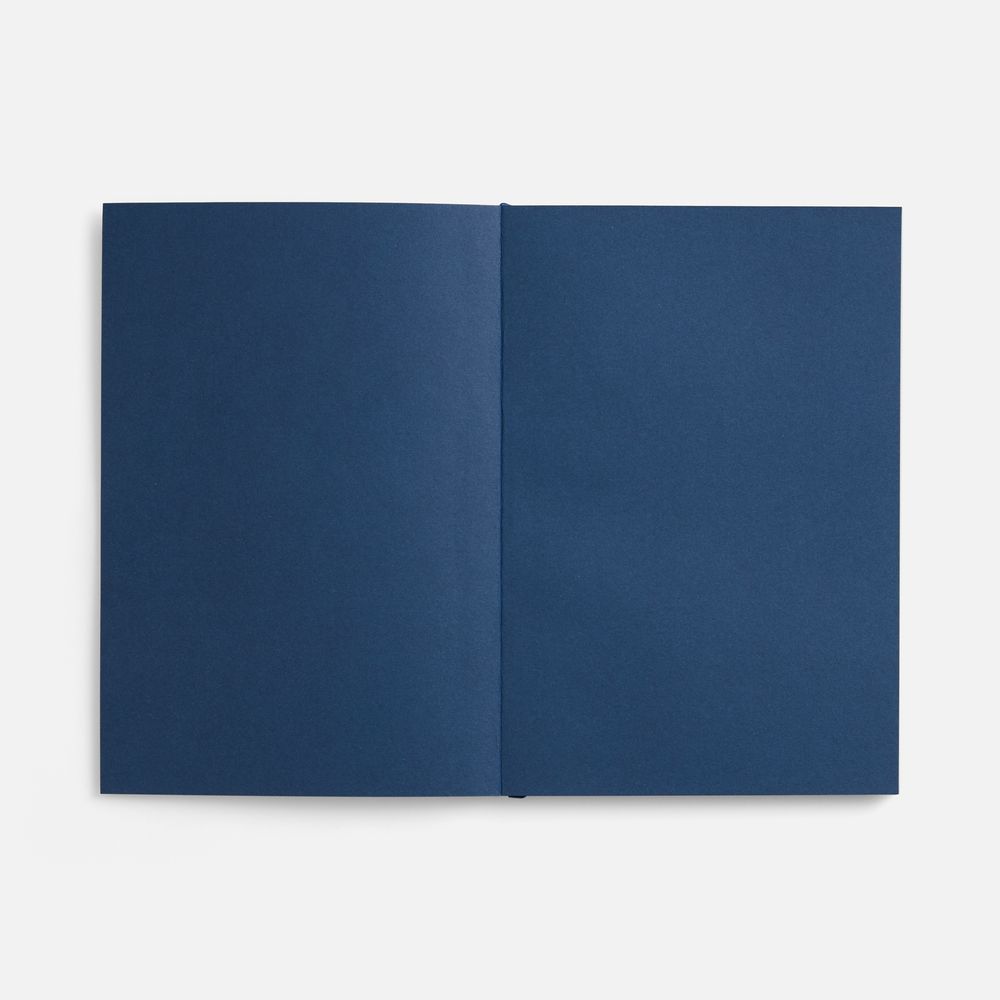 Ежедневник Flat, недатированный, синий, ver.2 / Миниатюра WWW (1000)