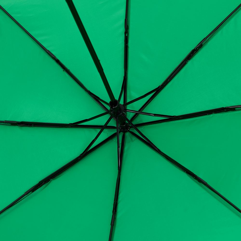 Зонт складной Basic, ver.2, зеленый / Миниатюра WWW (1000)