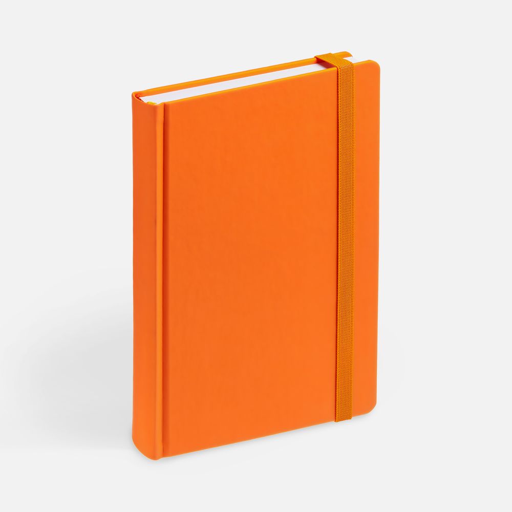 Ежедневник Favor, недатированный, оранжевый / Миниатюра WWW (1000)