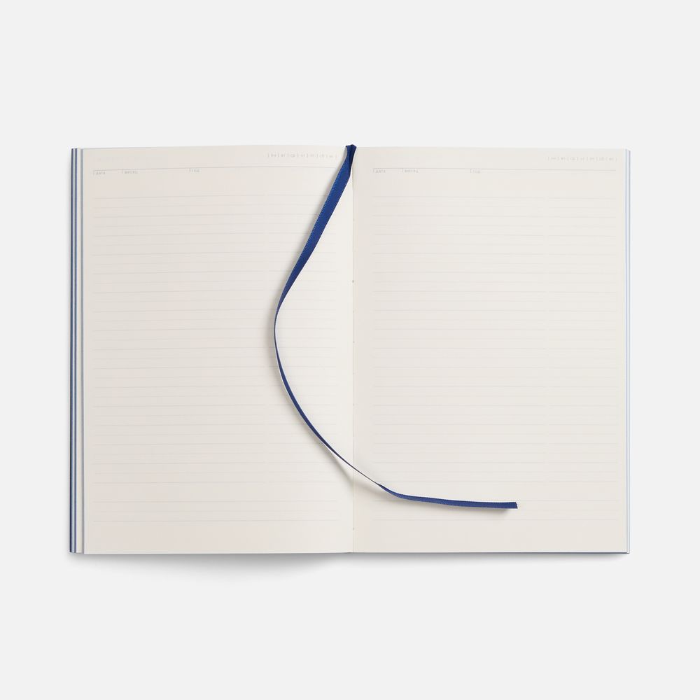 Ежедневник Flat, недатированный, синий, ver.2 / Миниатюра WWW (1000)