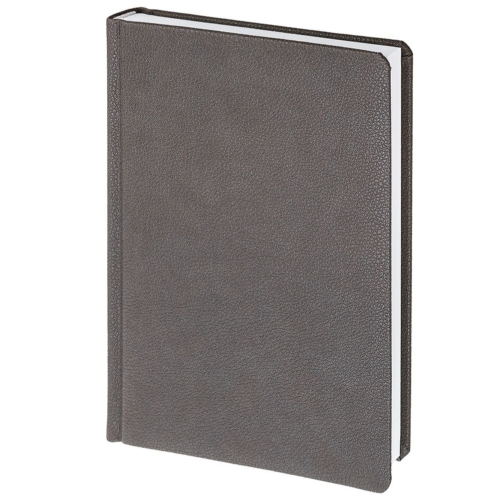Ежедневник Sagrin, недатированный, темно-серый / Миниатюра WWW (1000)