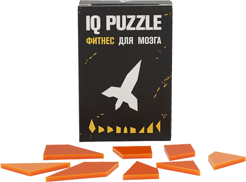 Головоломка IQ Puzzle, ракета / Миниатюра WWW (1000)