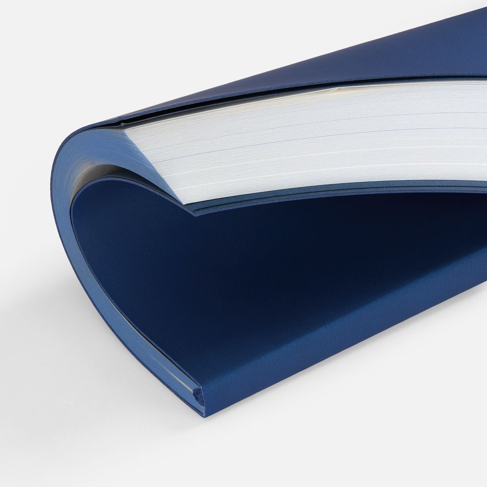 Ежедневник Flat, недатированный, синий, ver.2 / Миниатюра WWW (1000)