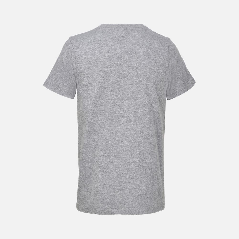 Футболка унисекс Regent с V-образным вырезом, серый меланж / Миниатюра WWW (1000)