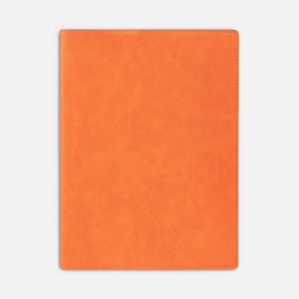 Ежедневник в суперобложке Brave Book, недатированный, оранжевый / Миниатюра WWW (1000)