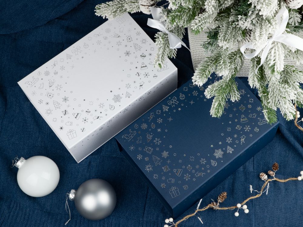 Коробка Snowlace, синяя / Миниатюра WWW (1000)